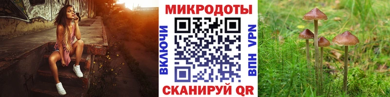Галлюциногенные грибы MAGIC MUSHROOMS  Тавда 