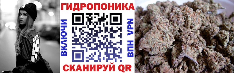 Шишки марихуана сатива Тавда